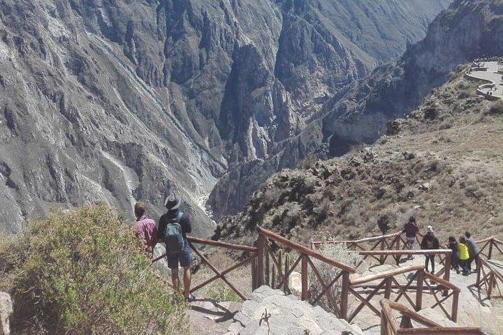 Colca Canyon Sightseeingtur 2D1N og overførsel til Puno