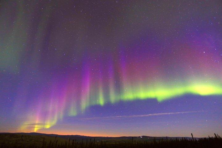 Northern Lights Viewing incluindo jantar e sledding de cães