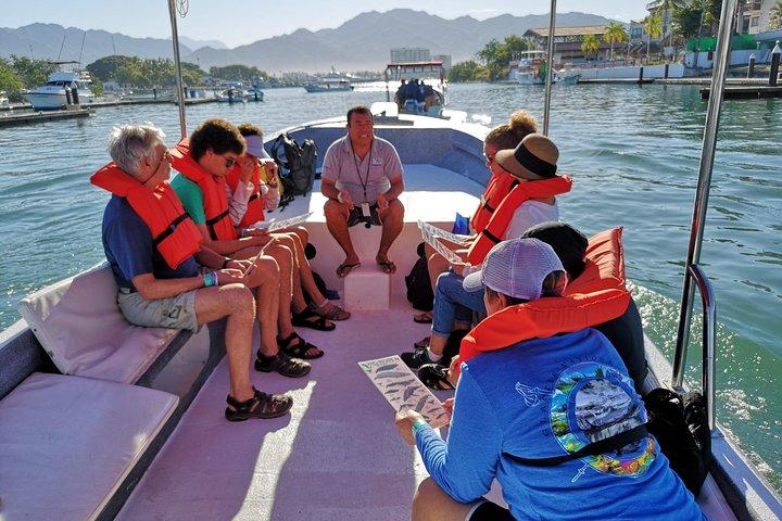 Whale Encounter Puerto Vallarta