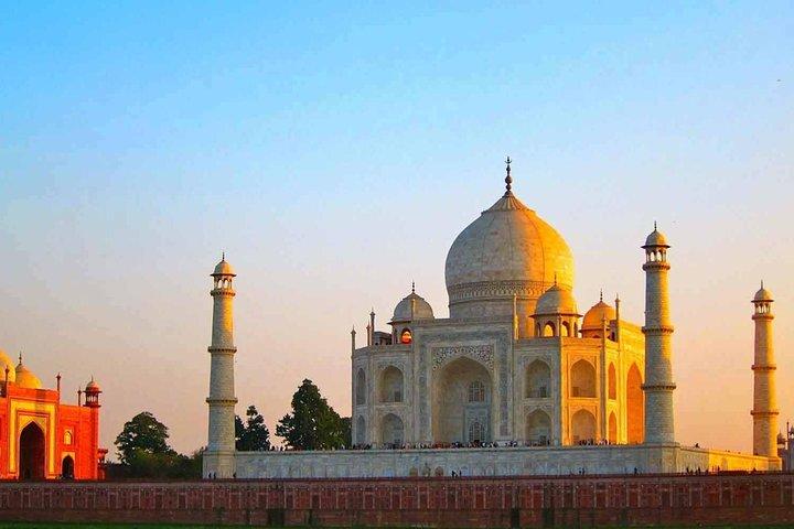 Guida turistica approvata in giornata intera ad Agra