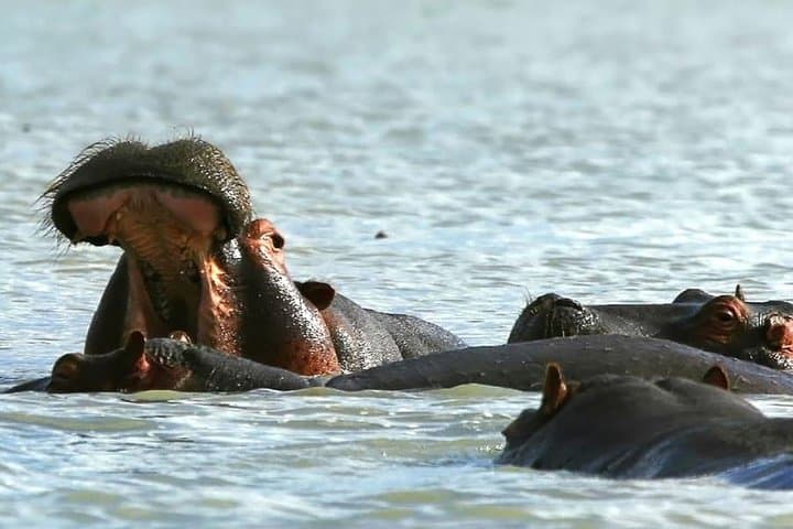 Day trip to Hells gate and Lake Naivasha