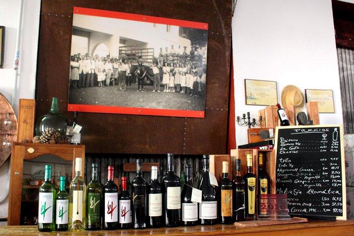 Bezoek wijnmakerij Bodegas Teneguía in La Palma met wijnproeverij