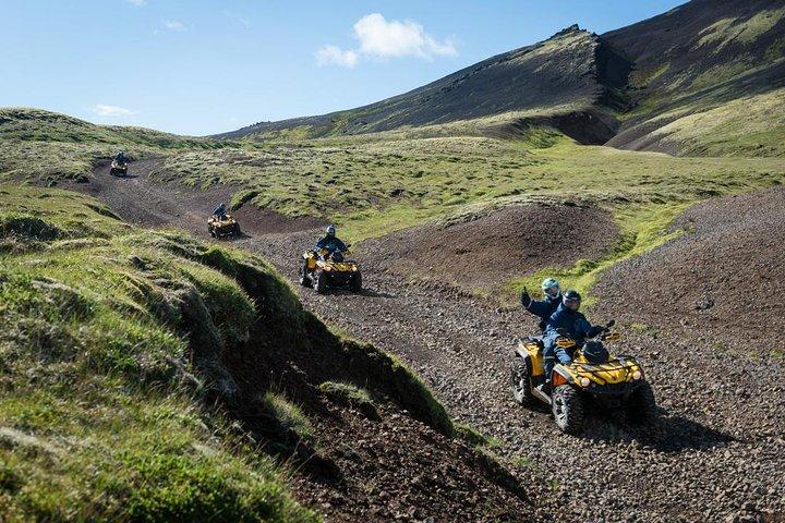 Reykjavik ATV & walvissen kijken Full-Day Adventure