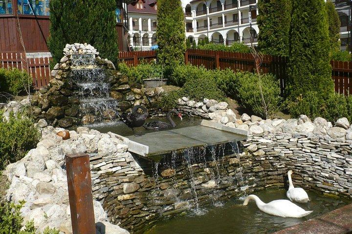 Peles Castle and optional Nevermore Academy from Brasov