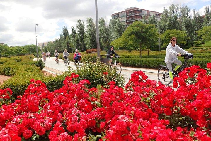 Tour en bicicleta por Madrid