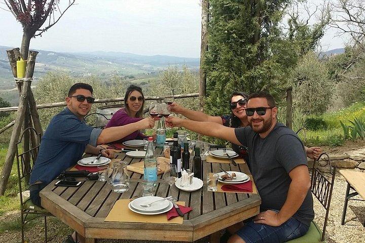 Passeio de sidecar em Florença e Chianti com degustação de vinhos e almoço