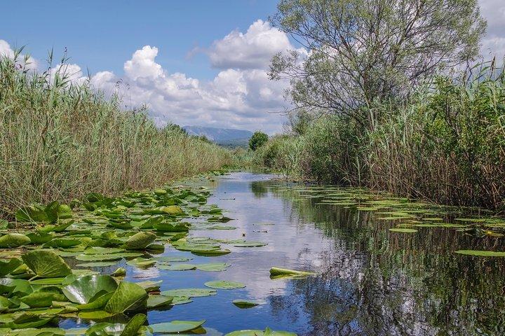 National Bird Reserve Hutovo Blato Photo Safari