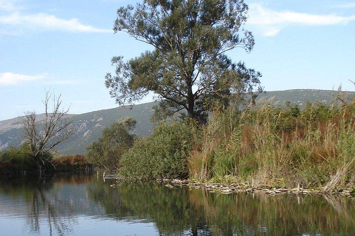 National Bird Reserve Hutovo Blato Photo Safari