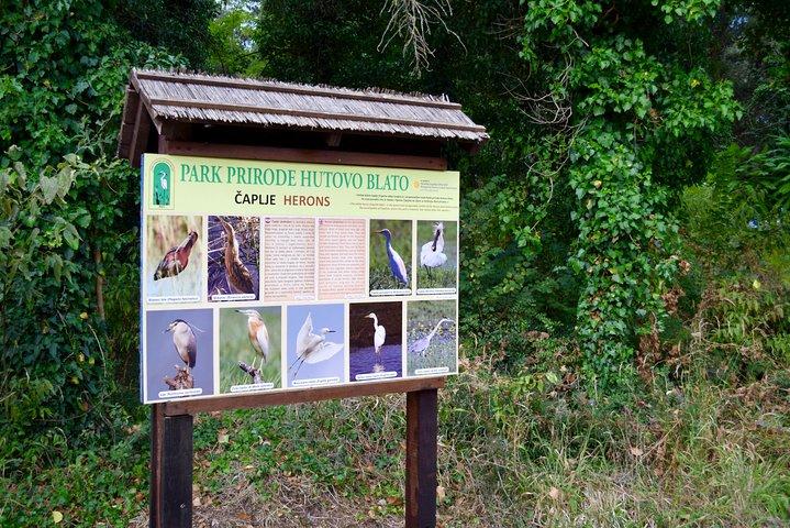 National Bird Reserve Hutovo Blato Photo Safari