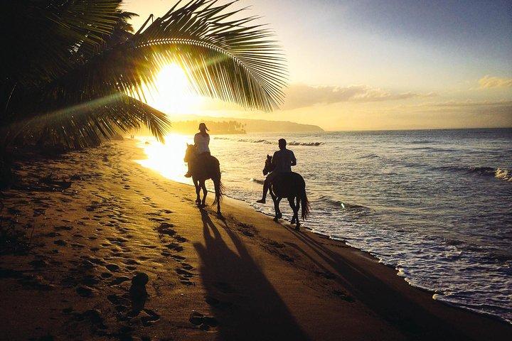 Privat solnedgång Ridning i punta cana stranden