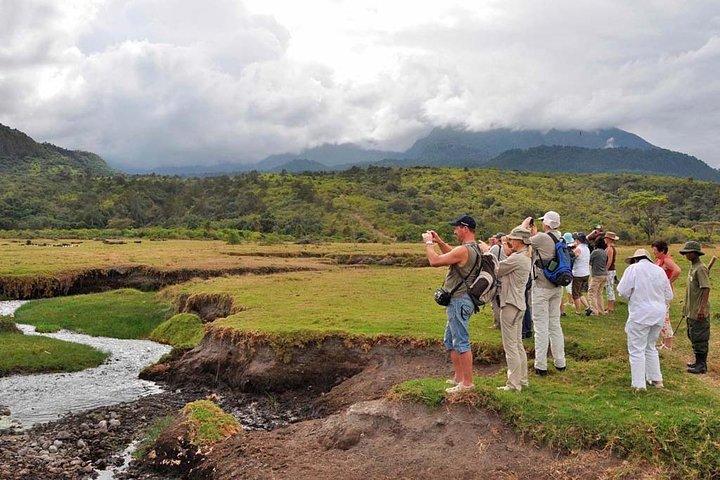 Arusha National Park Game drive y Walking Safari Day Tour