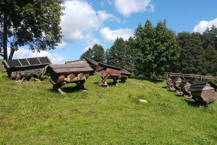 Tour de un día al Parque Nacional de Aukstaitija desde Vilnius