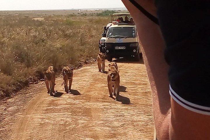 2 dagar maasai mara flygsafari