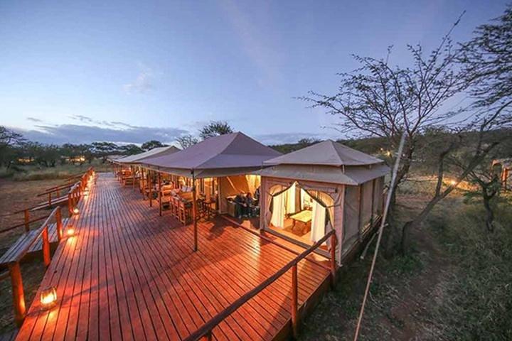 7 dagen: Great Migration Mara River Crossing (manyara, Ngorongoro en Serengeti)