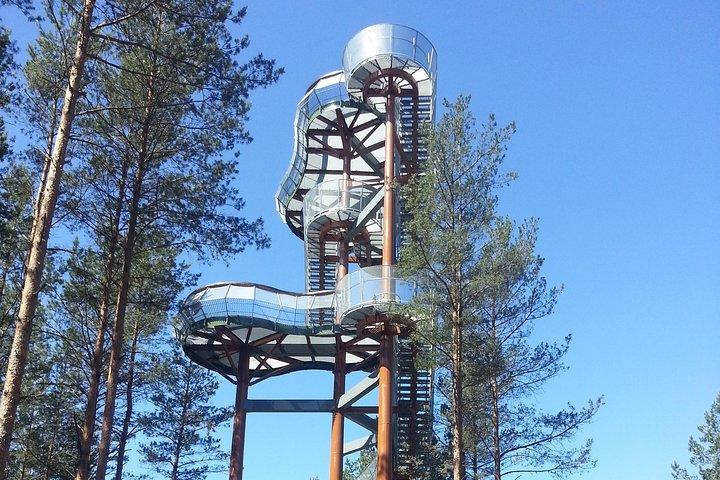 Viaje de un día a Vilnius al parque nacional de Dzukija, que incluye el parque Grutas