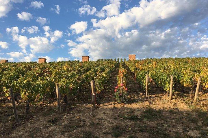 Champagne & Loire Valley Small Group Double Wine Day Tours