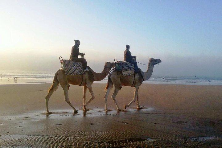 Camel Ride på Essaouria Beach