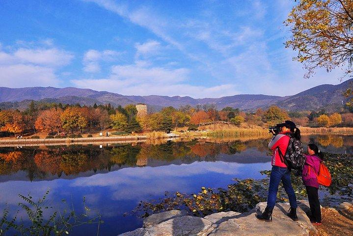 Private Garden Tour: The Summer Palace and Beijing Botanical Garden