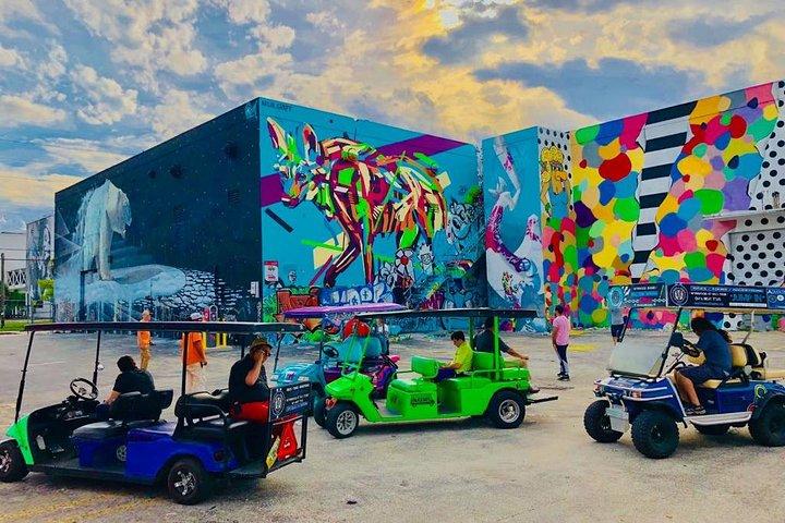 1 Stunde WYNWOOD BUGGIES Tour