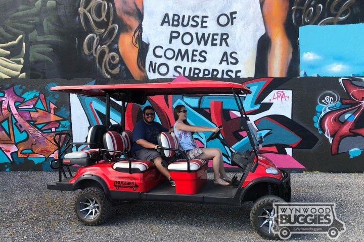 1 Stunde WYNWOOD BUGGIES Tour