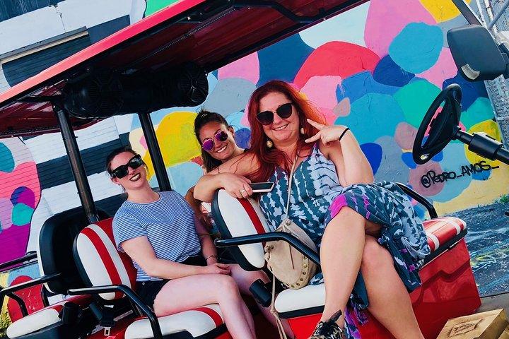 1 Stunde WYNWOOD BUGGIES Tour