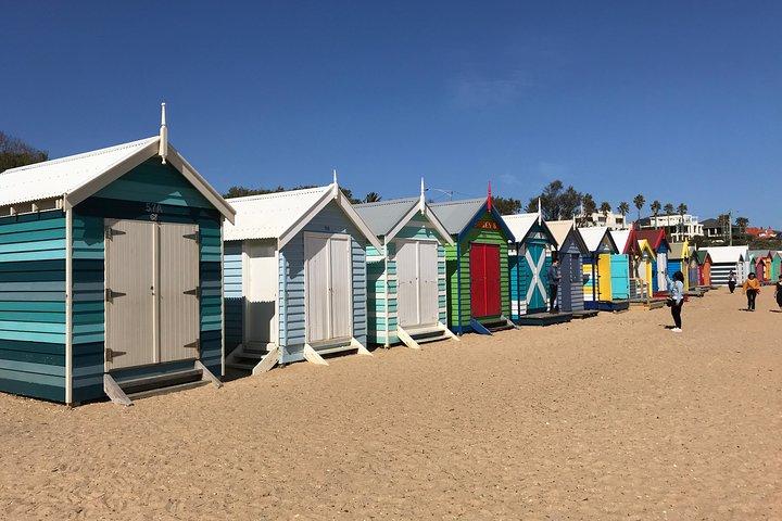Philip Island Penguin Parade, Brighton Bathing Boxes e Wildlife Park Tour
