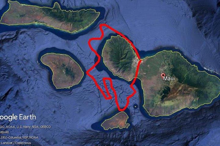 マウイ ホエール ウォッチング - プライベート - 航空ツアー: (2～5 人): クジラを見よう!