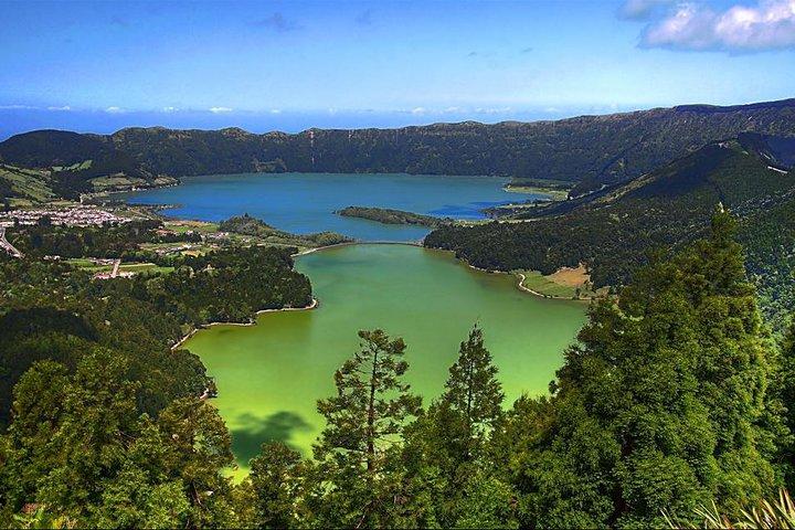 Excursion privée d'une journée complète à Rotorua au départ d’Auckland