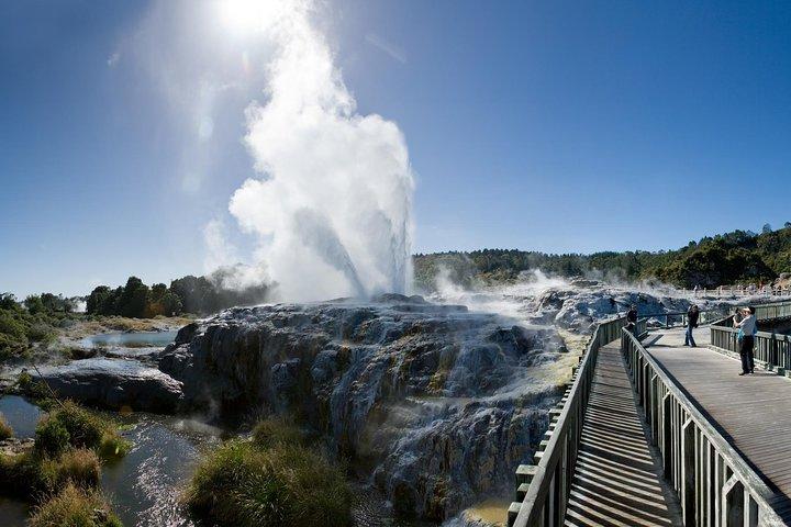 Excursion privée d'une journée complète à Rotorua au départ d’Auckland
