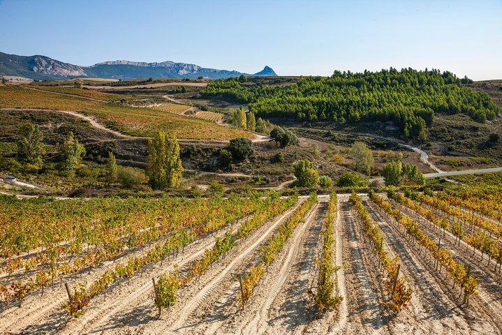 La Rioja vine og Laguardia tur fra San Sebastian