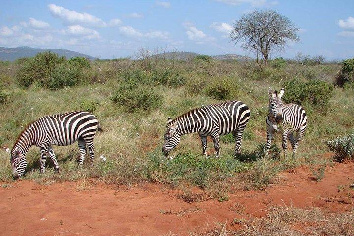 1 - デイツァボイースト国立公園ワイルドライフサファリモンバサ発