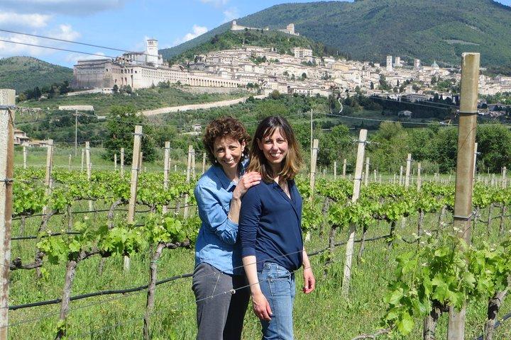 Rico aperitivo 5 vinhos e passeio nas vinhas