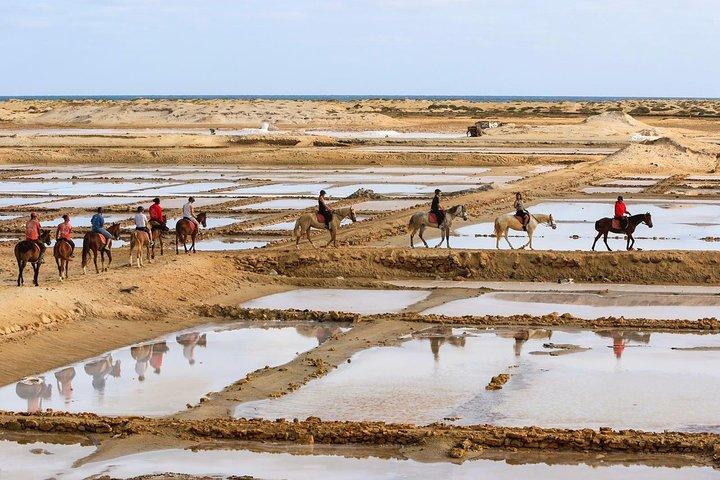 Horse Riding in Sal Island - Cabo Verde
