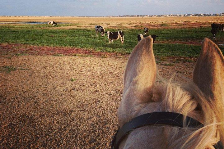 Horse Riding in Sal Island - Cabo Verde