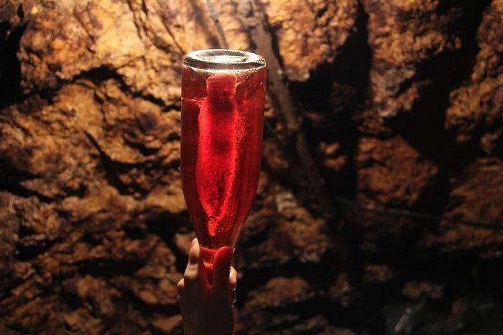 Vouvray、ロワール渓谷でのワインテイスティングを楽しめるブドウ畑、ワイナリー、ワインセラーのツアー