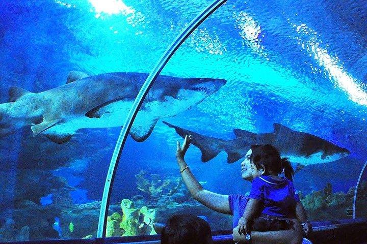 クアラルンプールの最高の動物アトラクションへのプライベートツアー