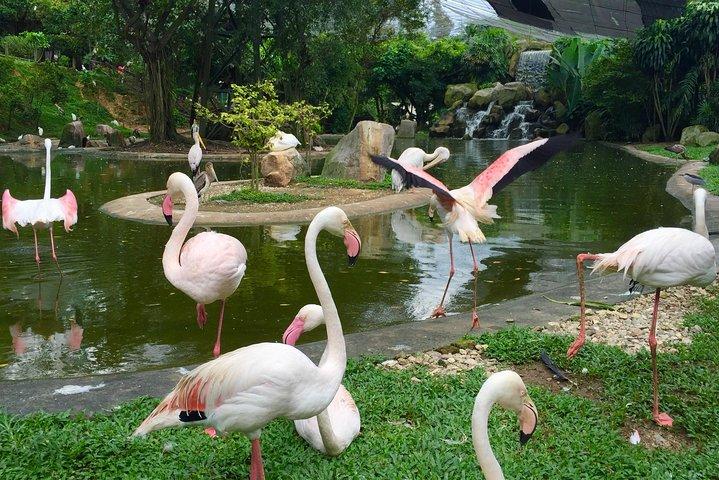 クアラルンプールの最高の動物アトラクションへのプライベートツアー