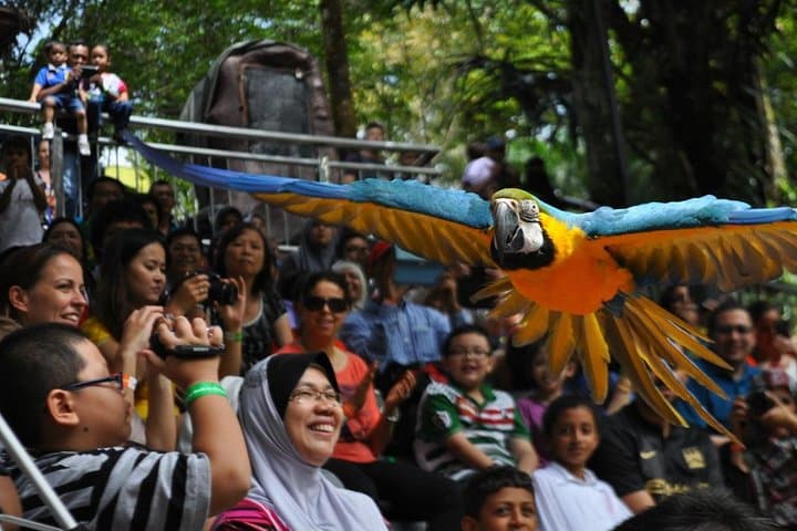 Kuala Lumpur Bird Park With Return Transfers