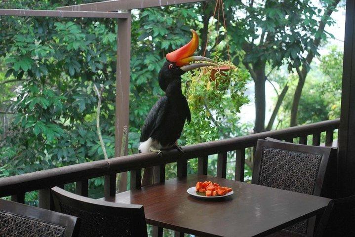Kuala Lumpur vogelpark & plattelandsontsnappingstocht