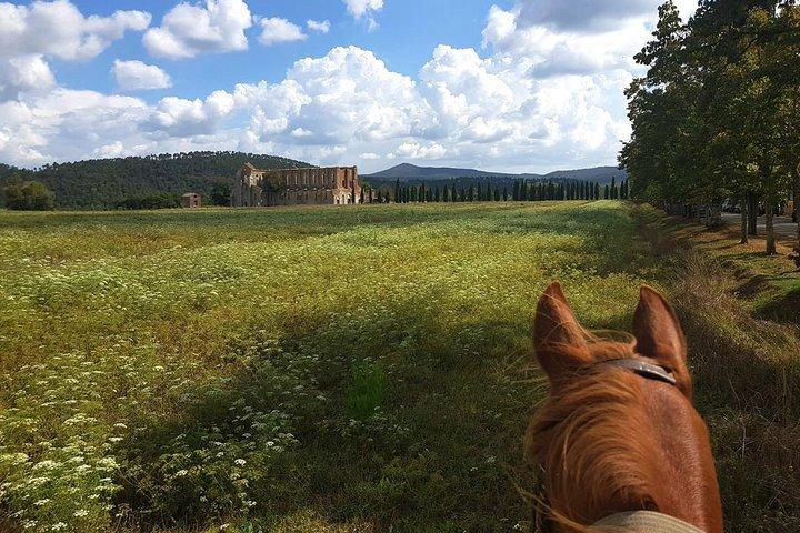 Passeggiata a Cavallo in Toscana per Esperti: Cavalcata di Mezza Giornata