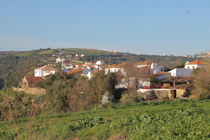 Lisbon Southern Region (Fernão Pó) Wine Tasting Private Tour