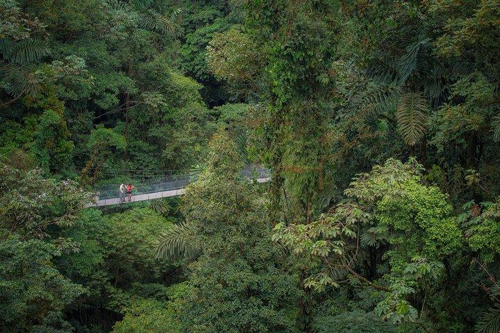 Arenal Hanging Bridges Vandringstur