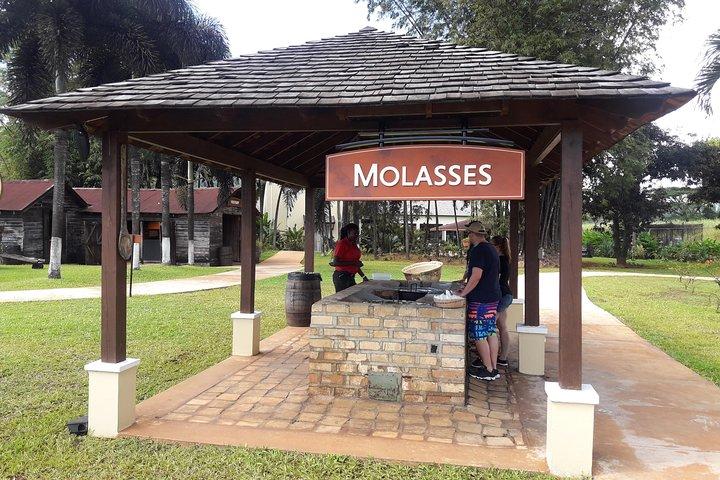 Private Appleton Estate Rum and Pelican Bar Tour from Montego Bay