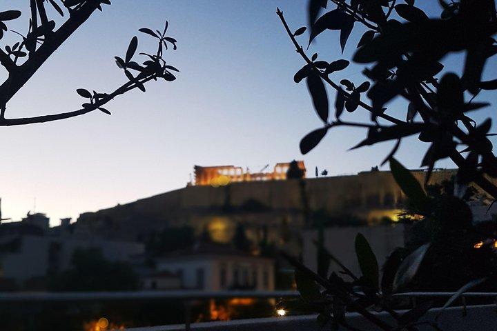 Acropolis Museum by Night - Private Tour