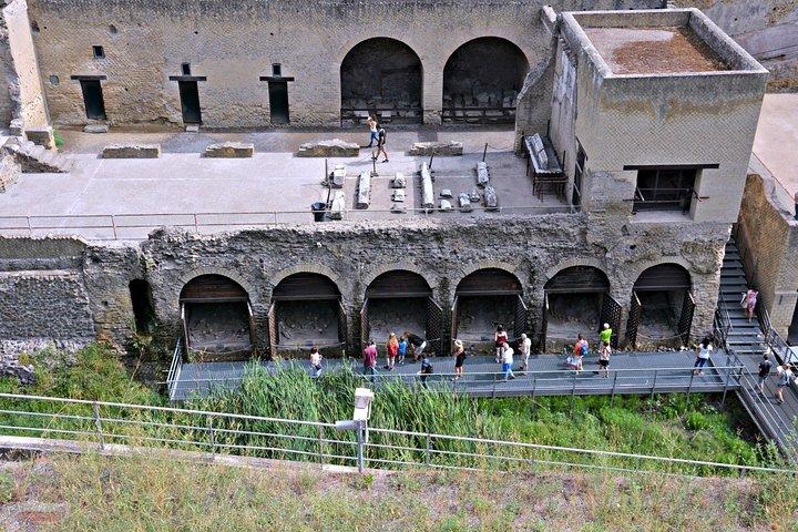 Private Day Tour: Herculaneum and Wine Tasting