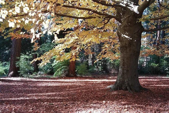 Vancouver City Highlights Explorer Private Tour