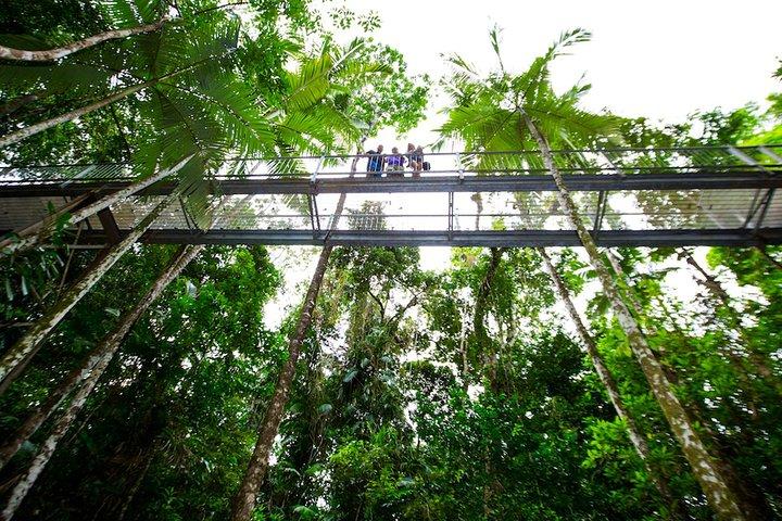 Daintree Discovery Center Einzelpass