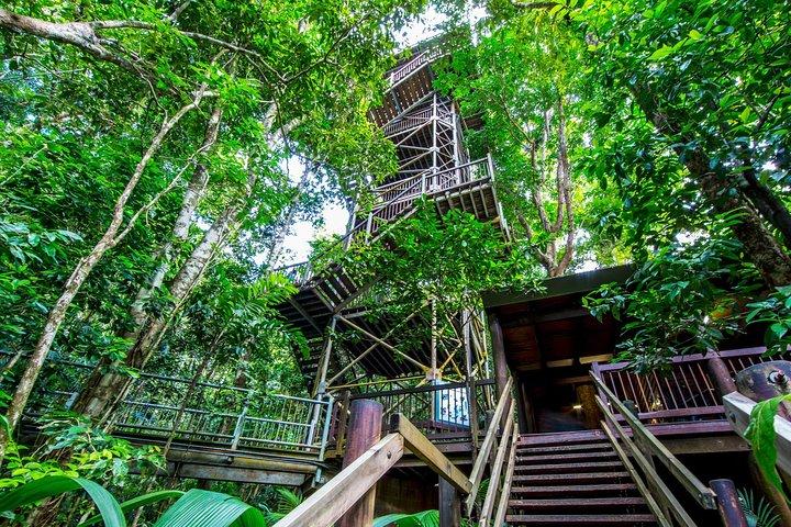 Daintree Discovery Center Einzelpass