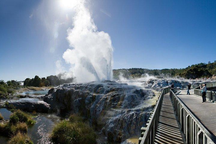 プライベートツアー：オークランド発のロトルアとワイトモ洞窟日帰り旅行