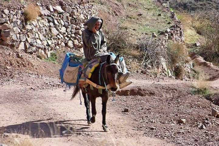 Day tour in high Atlas mountains